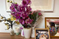 大爺(yé)们，都去哪了？