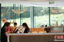 （乡村行·看振兴）浙江海盐：近郊“微度假”走红 乡村借“青春”破圈(quān)