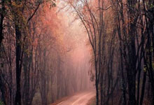 2025英雄联盟全球总决赛开启，多家院线将直播赛事