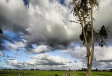 “浙BA”城市争霸赛揭幕战打(dǎ)响