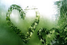 “浙BA”城市争霸赛衢州(zhōu)主场首秀