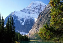 云南花卉产业工人花海逐梦，助力打造“美(měi)丽事业”