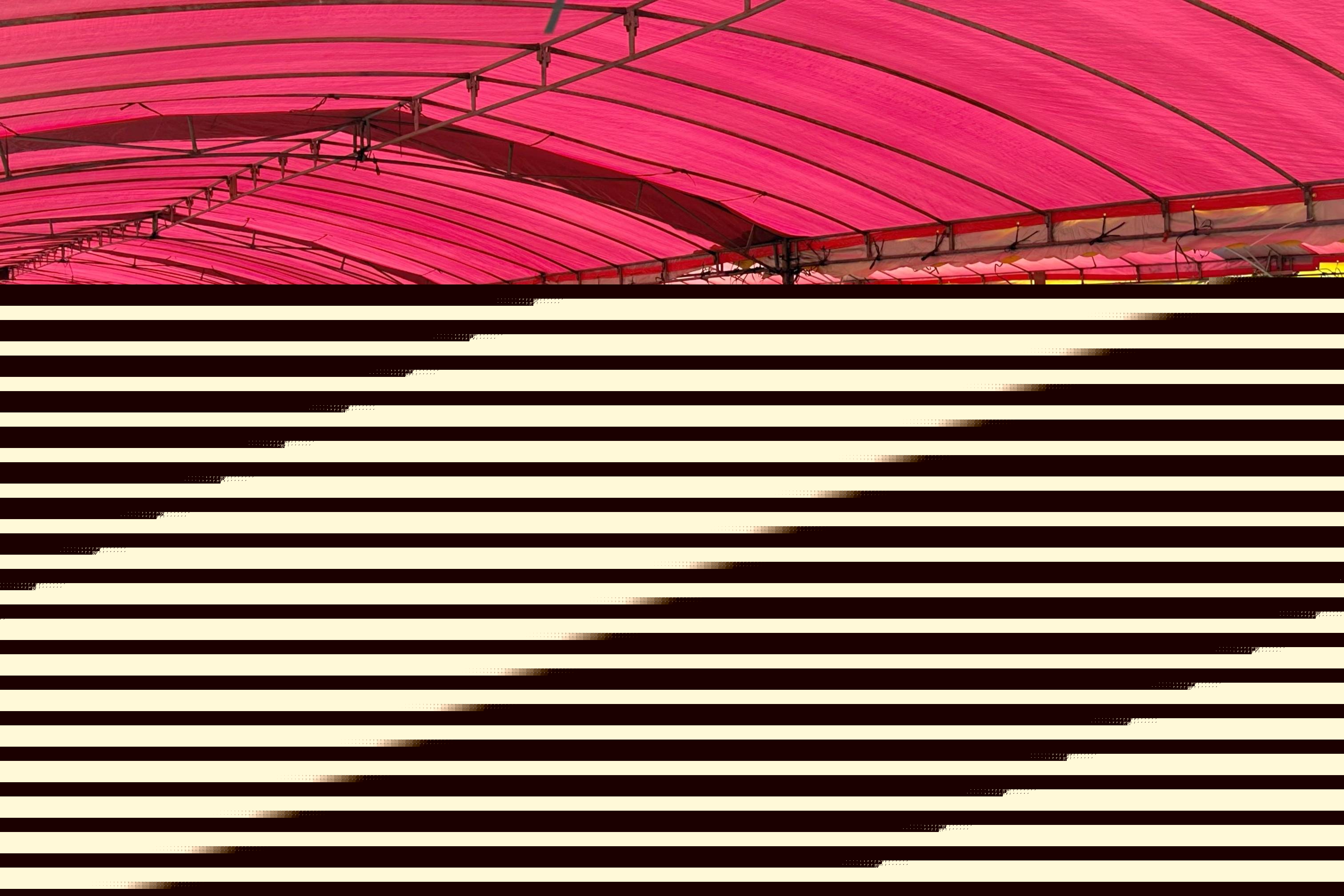 翰林文化节破圈，千年松塘焕新