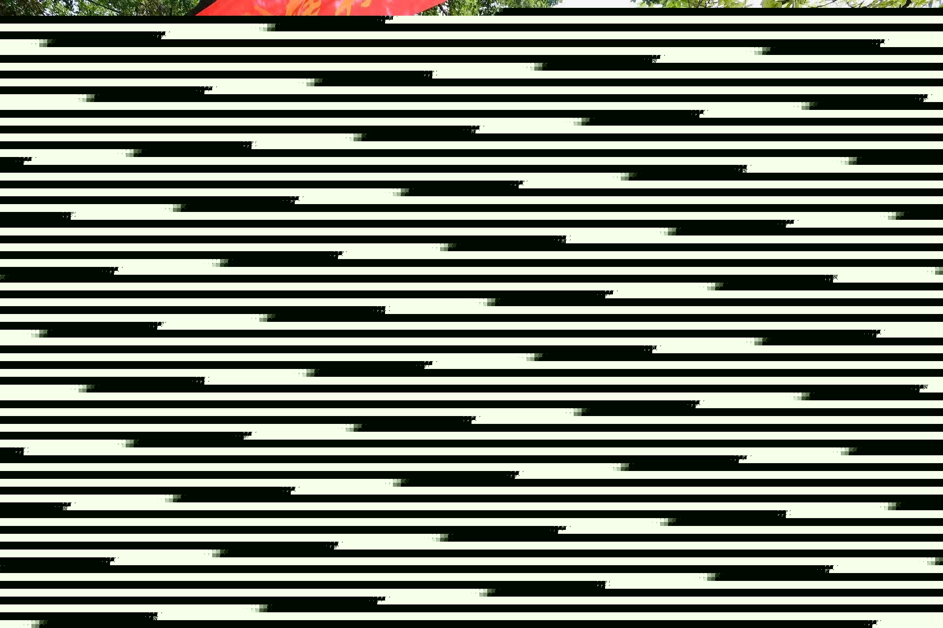 翰林文化节破圈，千年松塘焕新