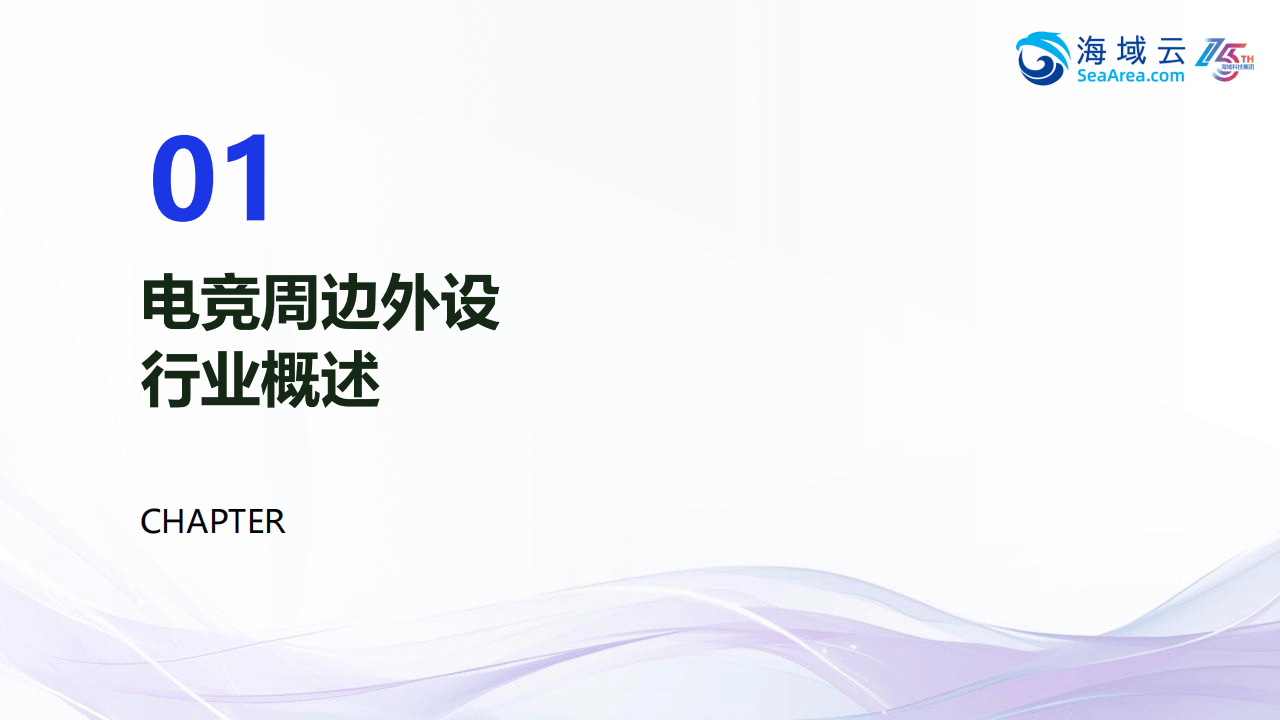 2025年电竞周边外设行业欧洲市场开拓战略分析报告