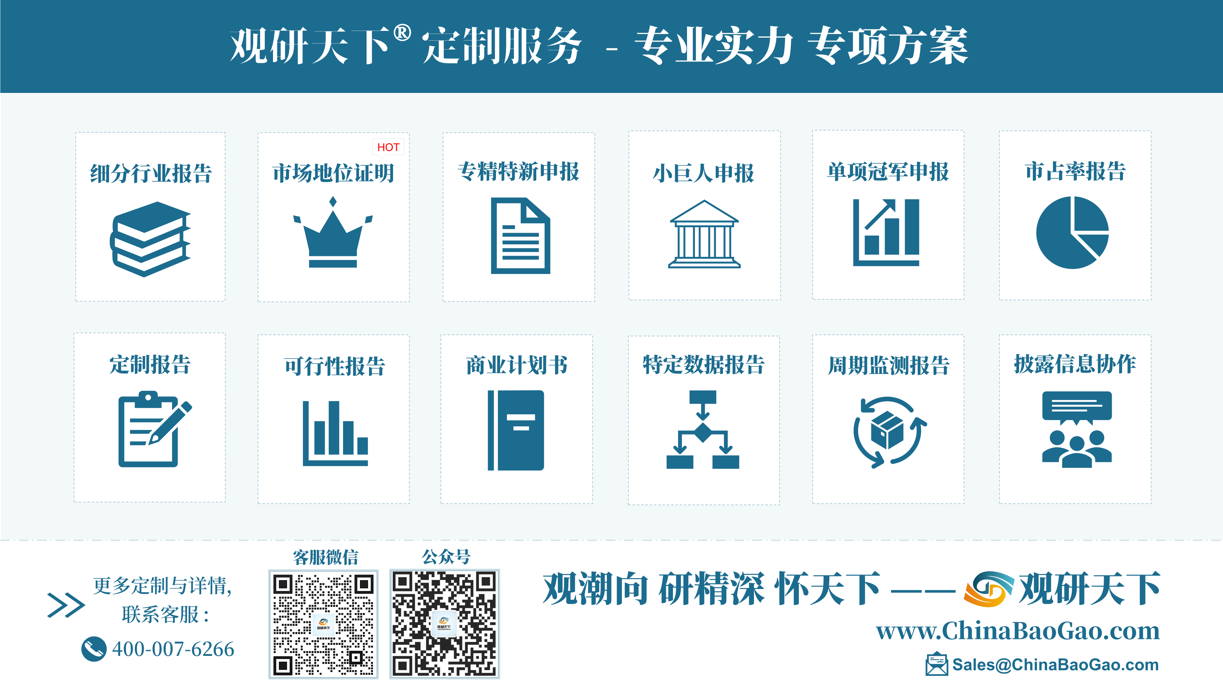 中国电竞电脑行业发展趋势分析与投资前景研究报告(2025-2032年)
